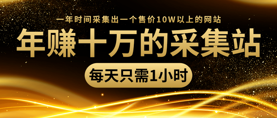 年赚十万的采集站，每天却只需要1小时，一年时间采集出一个售价10W以上的网站-婷好网络资源库