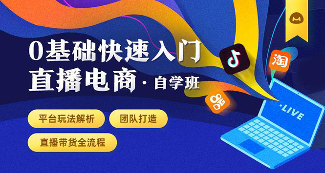 0基础快速入门直播电商课程：直播平台玩法解析-团队打造-带货全流程等环节-婷好网络资源库