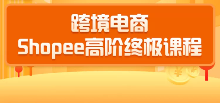 2020跨境电商蓝海新机会-SHOPEE大卖特训营：高阶终极课程（16节课）-婷好网络资源库