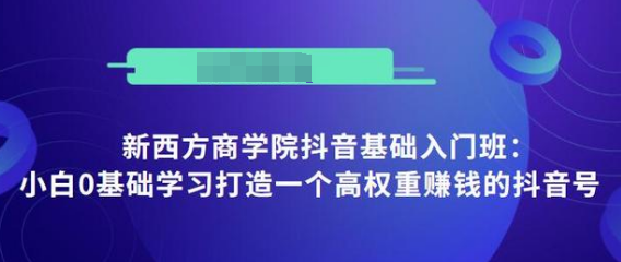 抖音基础入门班：小白0基础学习打造一个高权重赚钱的抖音号-婷好网络资源库