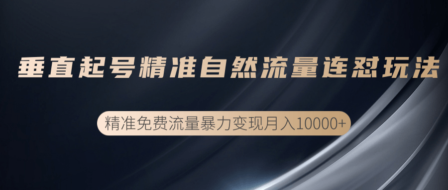 垂直起号精准自然流量连爆玩法，精准引流暴力变现月入10000+-婷好网络资源库