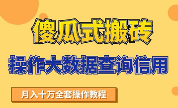 搬砖操作大数据查询信用项目赚钱教程，祝你快速月入6万-婷好网络资源库