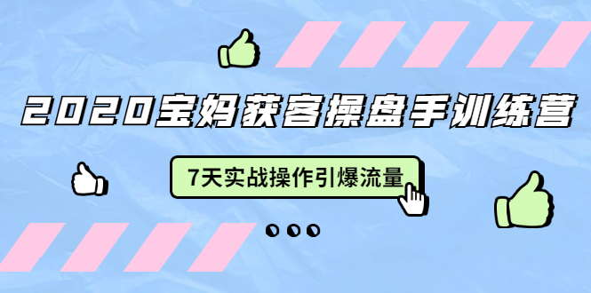 2020宝妈获客操盘手训练营：7天实战操作引爆 母婴、都市、购物宝妈流量-婷好网络资源库