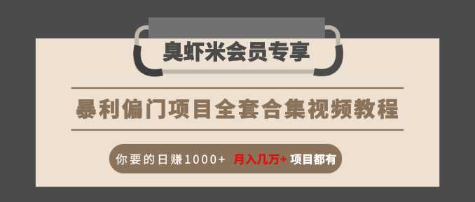 暴利偏门项目全套合集视频教程：你要的日赚1000+月入几万+项目都有-婷好网络资源库