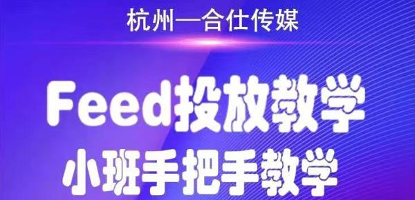 合仕传媒Feed投放教学，手把手教学，开车烧钱必须自己会-婷好网络资源库