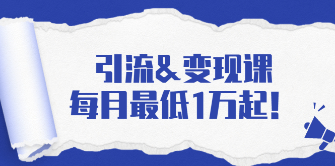 引流&变现课：分享一整套流量方法以及各个渠道收入，每月最低1万起！-婷好网络资源库