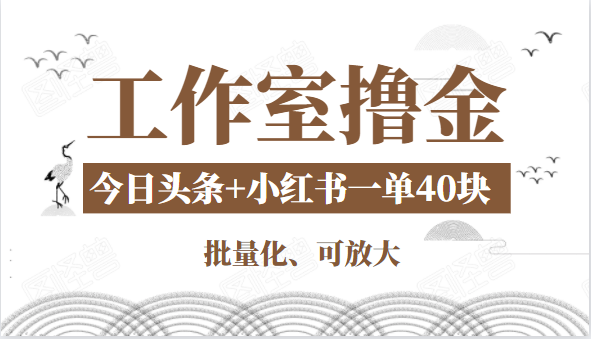 工作室撸金二件套：撸今日头条原创收益+小红书一单利润40块项目-婷好网络资源库