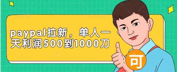 Paypal拉新赚美刀项目，单人一天利润500-1000刀【视频课程】-婷好网络资源库