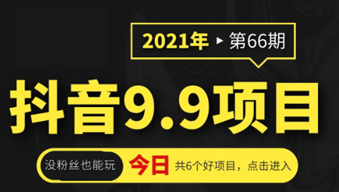 抖音9.9课程项目，没粉丝也能卖课，一天300+粉易变现-婷好网络资源库