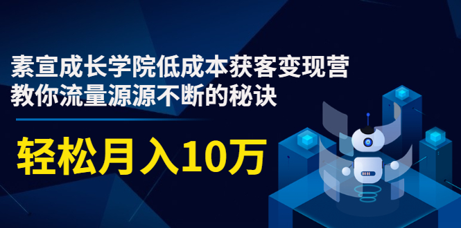 素宣成长学院低成本获客变现营，教你流量源源不断的秘诀，轻松月入10万-婷好网络资源库