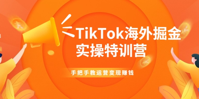 TikTok海外掘金实操特训营：手把手教运营变现赚钱-婷好网络资源库