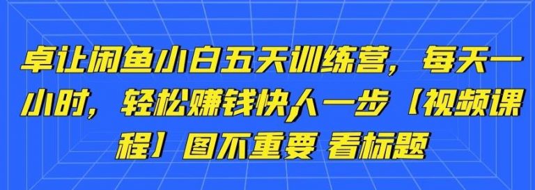 卓让闲鱼小白五天训练营，每天一小时，轻松赚钱快人一步-婷好网络资源库