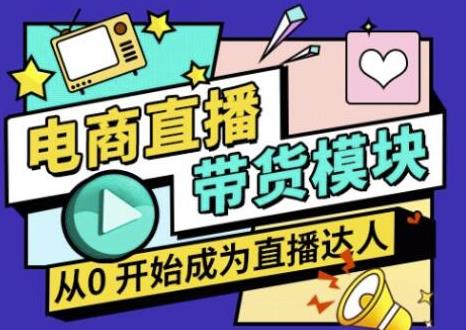 大鹏·电商直播带货课，系统学习直播带货各环节技巧和套路-婷好网络资源库