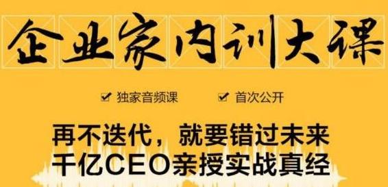 企业家内训大课，未来企业必学经验，价值1299元-婷好网络资源库