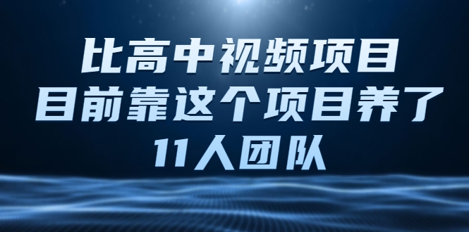 比高中视频项目，目前靠这个项目养了11人团队【视频课程】-婷好网络资源库
