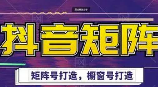 高鹏圈·抖音带货矩阵项目，起号成功率100%，出单率100%！-婷好网络资源库
