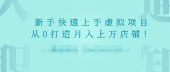 2022年虚拟项目实战指南，新手从0打造月入上万店铺-婷好网络资源库