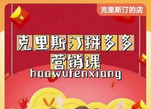 克里斯汀拼多多运营课，适合小白初涉平台，低成本入门-婷好网络资源库