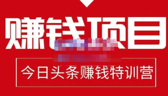 懒人领域·今日头条项目玩法，头条中视频项目，单号收益在50—500可批量-婷好网络资源库