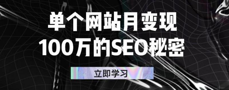 单个网站月变现100万的SEO秘密，百分百做出赚钱站点-婷好网络资源库