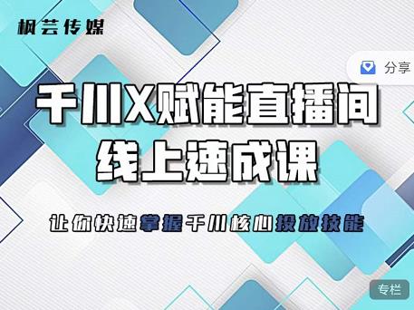 枫芸传媒-线上千川提升课，提升千川认知，提升千川投放效果-婷好网络资源库