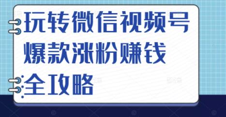 玩转微信视频号爆款涨粉赚钱全攻略，让你快速抓住流量风口，收获红利财富-婷好网络资源库