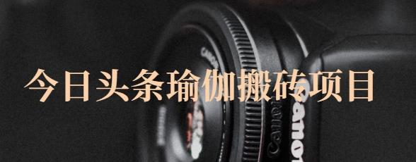 猎人社区·今日头条瑜伽搬砖项目，单号一天几十收入，可以批量操作！-婷好网络资源库
