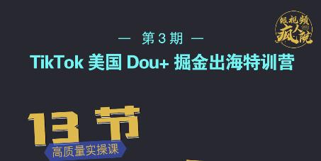 TikTok美国Dou+掘金出海特训营，美国dou+成功投放95%-婷好网络资源库
