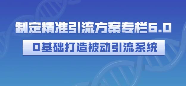 制定精准引流方案专栏6.0，0基础打造被动引流系统-婷好网络资源库