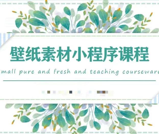 闪闪壁纸号运营教程，抓住图文风口，快速吸粉变现-婷好网络资源库