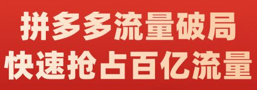 阿杰·拼多多流量破局:如何打黑标，爆款的思路，拼多多流量框架，快速抢占百亿流量-婷好网络资源库