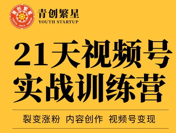 张萌21天视频号实战训练营，裂变涨粉、内容创作、视频号变现 价值298元-婷好网络资源库