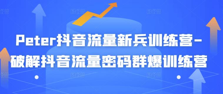 Peter抖音流量新兵训练营-破解抖音流量密码群爆训练营（新兵）-婷好网络资源库