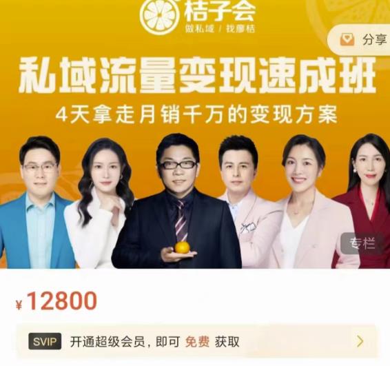 桔子会·私域流量变现速成班，4天拿走月销千万的变现方案 价值12800元-婷好网络资源库