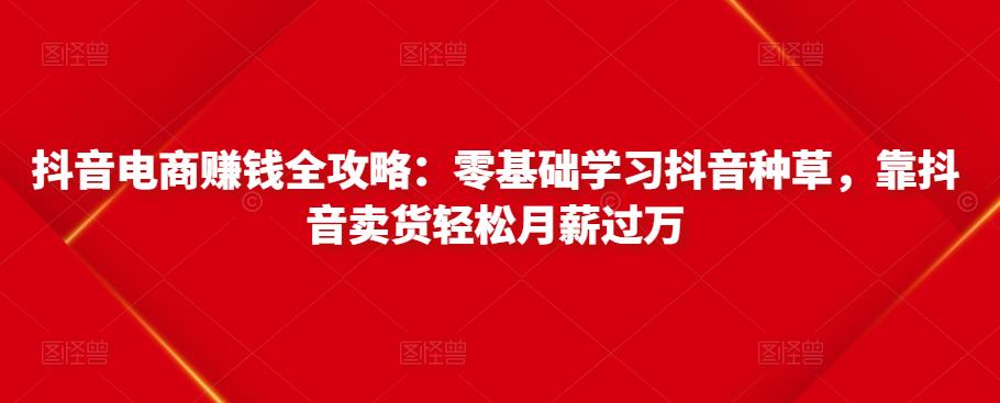 抖音电商赚钱全攻略：零基础学习抖音种草，靠抖音卖货轻松月薪过万-婷好网络资源库