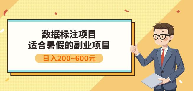 副业赚钱：人工智能数据标注项目，简单易上手，小白也能日入200+-婷好网络资源库