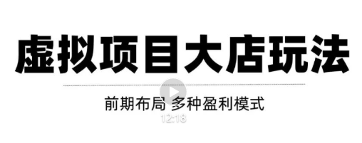 虚拟项目月入几万大店玩法分享，多店操作利润倍增（快速起店盈利）-婷好网络资源库