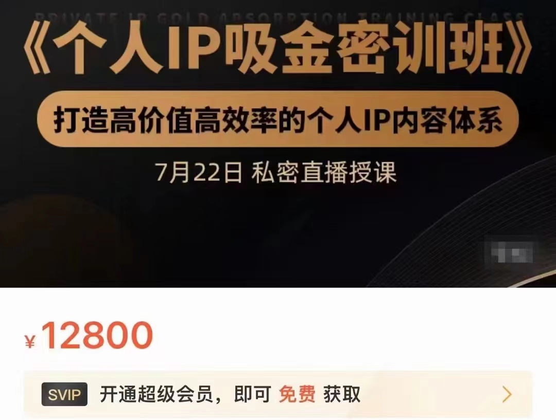 个人IP吸金密训班，打造高价值高效率的个人IP内容体系（价值12800元）-婷好网络资源库
