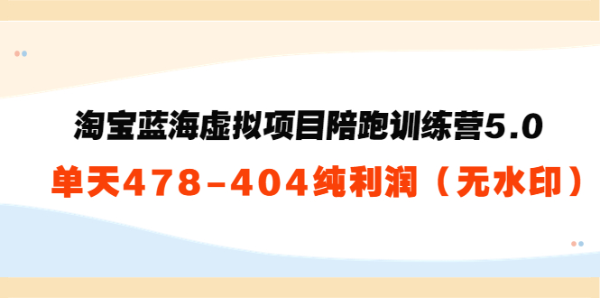 淘宝蓝海虚拟项目陪跑训练营5.0：单天478纯利润-婷好网络资源库