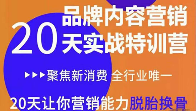 《内容营销实操特训营》20天让你营销能力脱胎换骨（价值3999）-婷好网络资源库