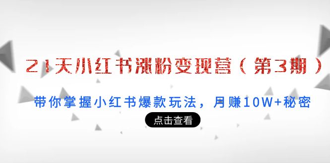 21天小红书涨粉变现营（第3期）：带你掌握小红书爆款玩法，月赚10W+秘密-婷好网络资源库