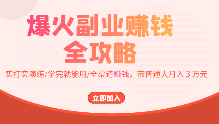 爆火副业赚钱全攻略：实打实演练/学完就能用/全渠道赚钱，带普通人月入３万元-婷好网络资源库