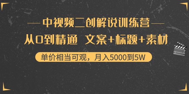 中视频二创解说训练营：从0到精通 文案+标题+素材、月入5000到5W-婷好网络资源库