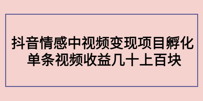 副业孵化营第5期：抖音情感中视频变现项目孵化 单条视频收益几十上百-婷好网络资源库