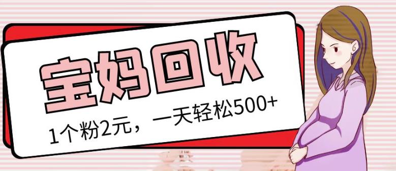 最新小红书母婴号宝妈粉回收项目，1个粉2元，一天轻松500+案例分享【粉丝包回收】-婷好网络资源库