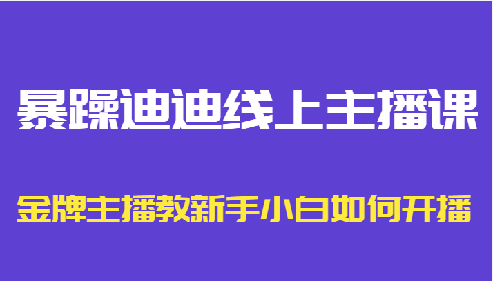 暴躁迪迪线上主播课，金牌主播教新手小白如何开播-婷好网络资源库