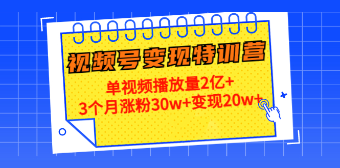 21天视频号变现特训营：单视频播放量2亿+3个月涨粉30w+变现20w+（第14期）-婷好网络资源库