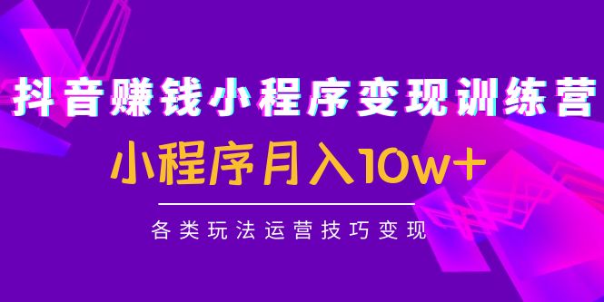 抖音赚钱小程序变现训练营：小程序月入10w+各类玩法运营技巧变现-婷好网络资源库