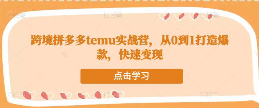 跨境拼多多temu实战营，从0到1打造爆款，快速变现-婷好网络资源库