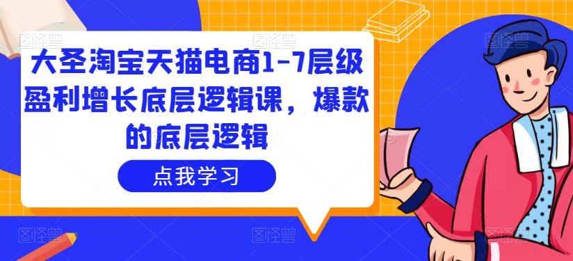大圣淘宝天猫电商1-7层级盈利增长底层逻辑课，爆款的底层逻辑-婷好网络资源库